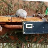 photo 2021-03-04 12-41-34