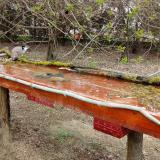 photo 2021-04-03 13-35-15