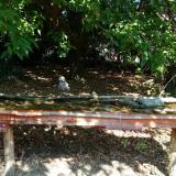 photo 2021-09-26 11-52-00