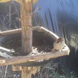 photo 2019-02-18 11-46-44