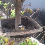 photo 2019-12-02 09-19-57