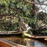 photo 2022-03-24 08-00-09 szajko