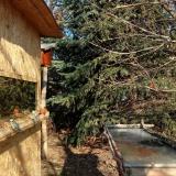 photo 2022-01-12 11-51-23