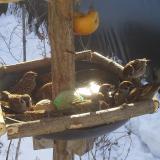 photo 2019-01-27 10-09-33