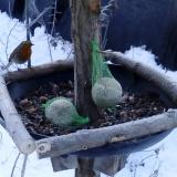 photo 2019-01-11 10-14-29