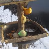 photo 2019-01-27 15-08-13