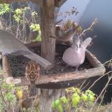 photo 2019-12-12 10-36-17