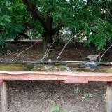 photo 2021-08-03 16-44-36