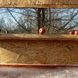 photo 2022-01-15 12-58-06