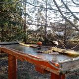 photo 2022-03-13 07-25-55