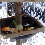 photo 2019-01-22 08-00-24