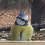 photo 2021-11-10 10-03-41 kekcinege