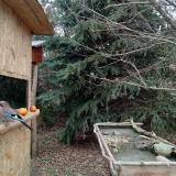 photo 2021-12-22 12-59-52