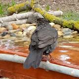 photo 2021-03-17 09-13-50 rigo