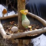 photo 2019-01-16 10-14-10