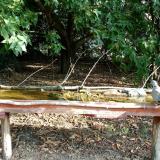 photo 2021-09-16 08-50-02