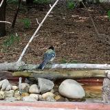 photo 2021-07-13 16-44-36 cinke