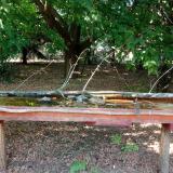 photo 2021-07-08 16-34-43