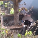 photo 2019-12-12 11-42-49