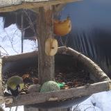 photo 2019-01-29 10-55-48