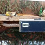 photo 2021-02-13 10-02-08