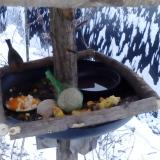 photo 2019-01-22 07-54-39