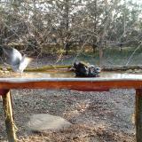 photo 2021-03-11 07-31-25