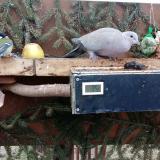 photo 2021-02-02 14-03-18