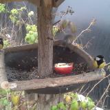 photo 2019-12-06 12-14-56