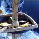 photo 2019-01-21 10-35-54