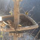 photo 2019-12-30 10-42-07