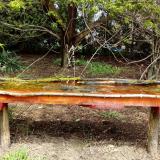 photo 2021-04-15 12-28-20