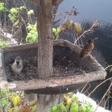 photo 2019-12-02 09-38-02