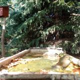 photo 2023-10-04 15-02-05