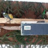 photo 2021-02-11 09-18-19