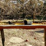 photo 2021-03-13 09-26-21