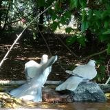 photo 2021-07-21 09-47-13 galambok