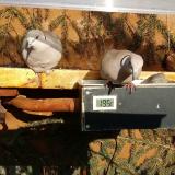 photo 2021-03-08 15-26-25