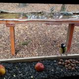 photo 2021-11-03 13-53-58