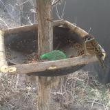 photo 2019-02-16 07-19-21