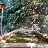 photo 2023-10-03 10-45-06