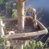 photo 2019-12-08 14-04-06