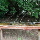 photo 2021-08-04 11-58-18