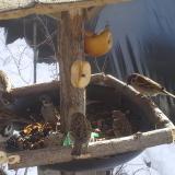 photo 2019-01-29 11-57-20