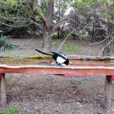 photo 2021-04-13 06-24-22