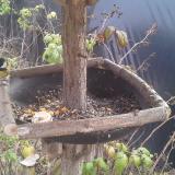 photo 2019-12-08 12-45-07