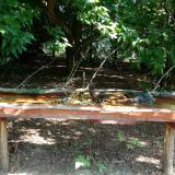 photo 2021-07-22 09-52-29