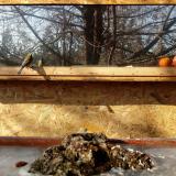 photo 2022-01-19 11-40-32