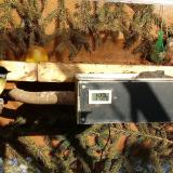 photo 2021-02-12 14-37-56