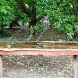 photo 2021-05-19 12-21-34